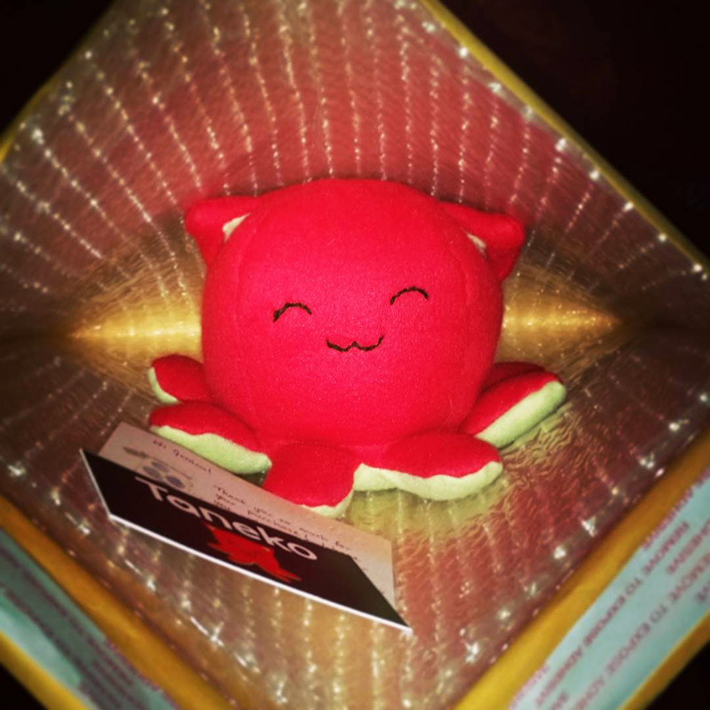 red Taneko the Octo-puss plush toy sitting happily in a padded shipping envelope