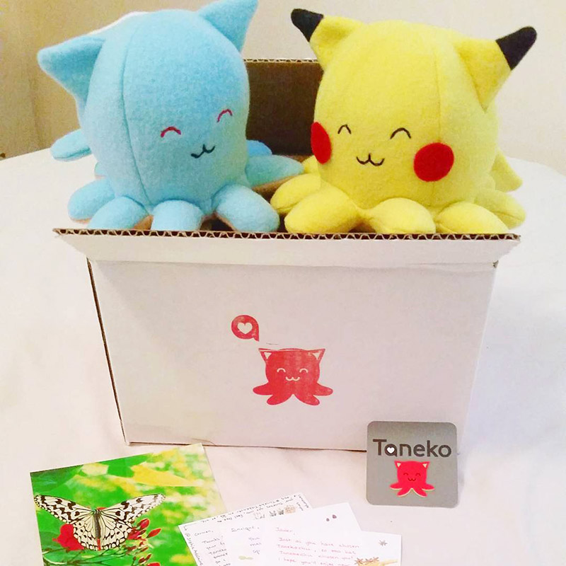 Pikachu and Squirtle Tanekos sitting in a shipping box