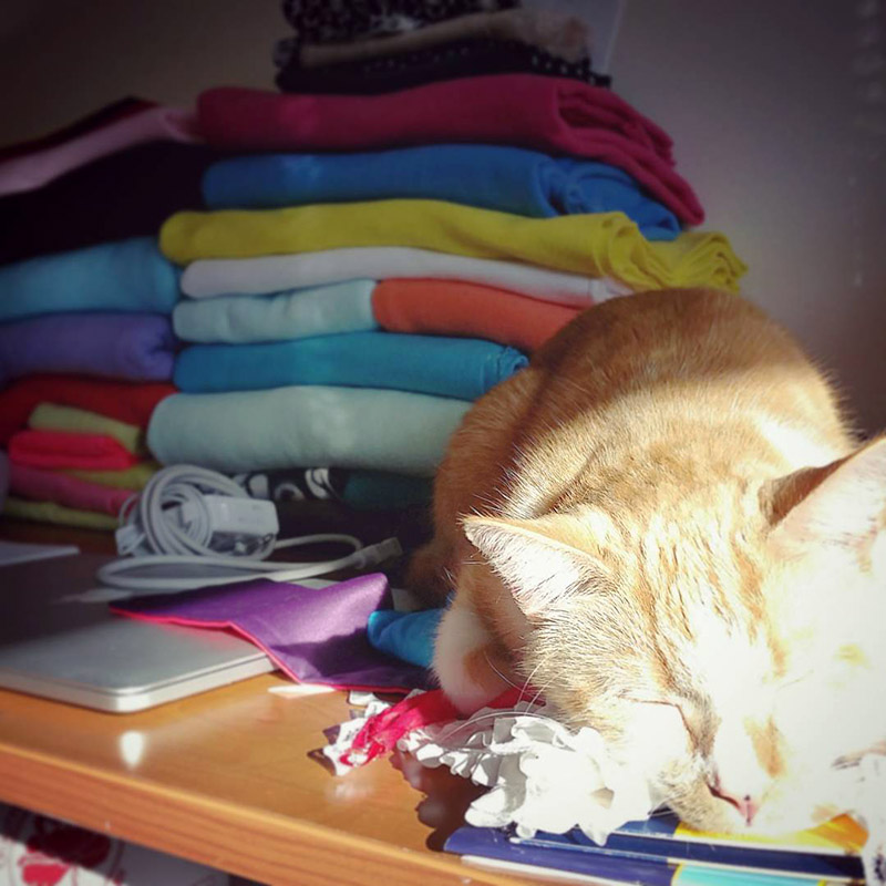 orange and white cat sleeping in front of stack of colorful fleece fabric