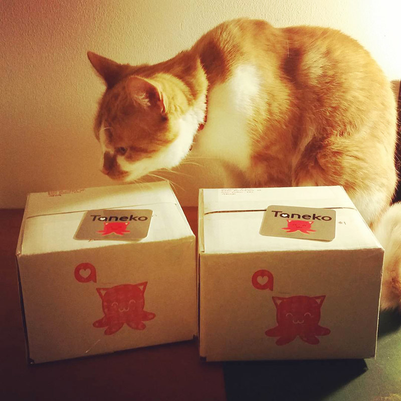 2 shipping packages with Taneko's logo and an orange and white cat