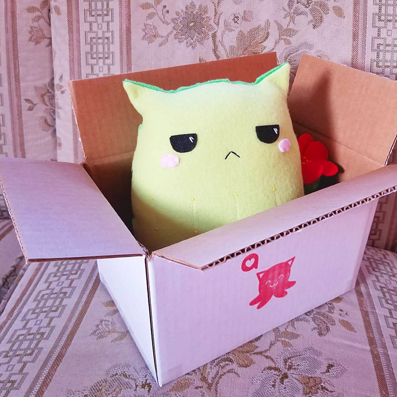Cactus Cat plush toy sitting in a shipping box