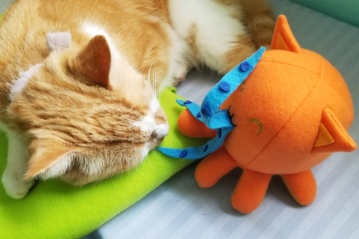 orange cosplay Taneko sitting with orange and white Taneko