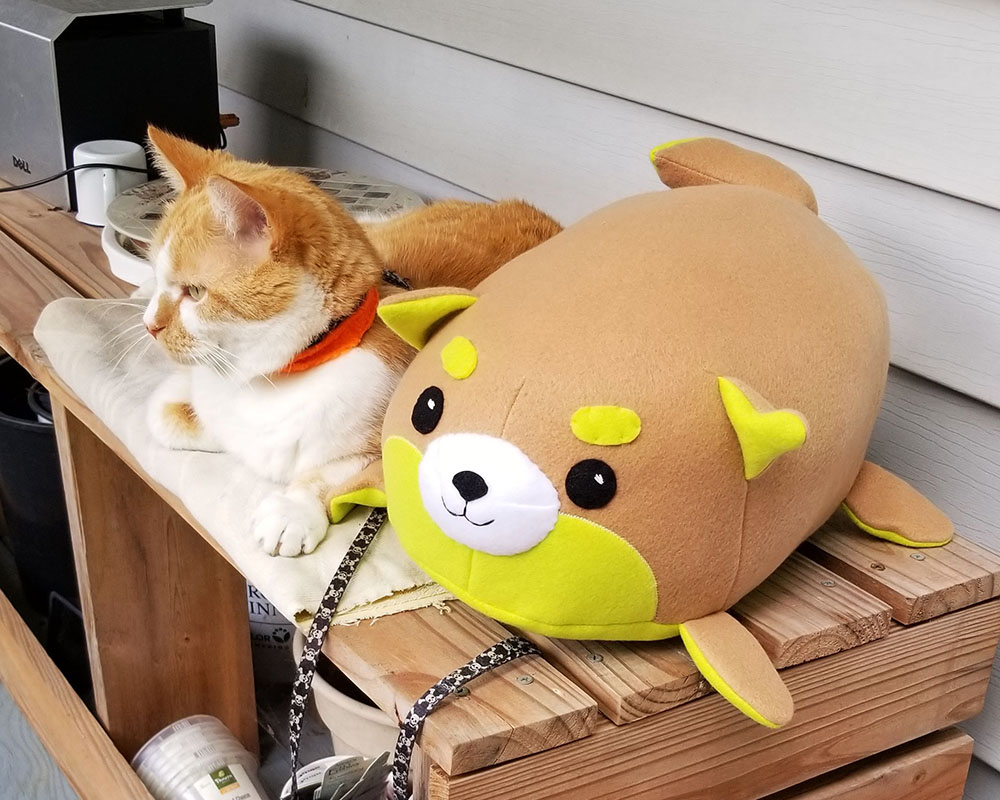 Kiwi Inu plush toy with orange and white cat sitting outside